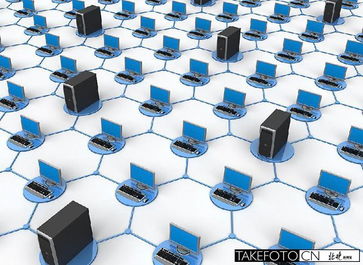 中关村公司市值排行榜 网络服务与技术企业领跑，盈利能力显著